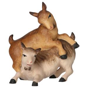 UL Coppia di caprette