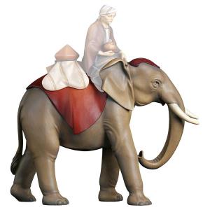 CO Elefante in piedi