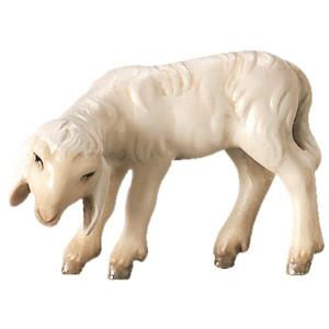 Agnello chinato