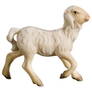 Agnello che corre