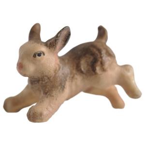 Piccola lepre che salta