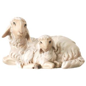 Gruppe di due pecore sdraiate