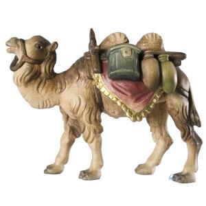 Camel with baggage
