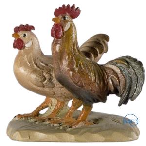 Group of cock and hen