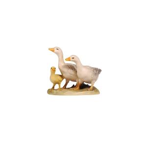 MA Gänsegruppe