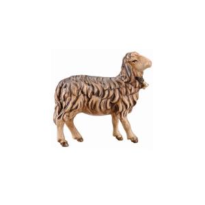 IN Pecora guardante a destra marrone