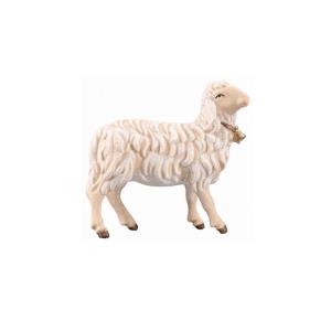 SI Sheep looking right with bell