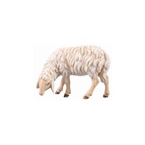 SI Sheep grazing left