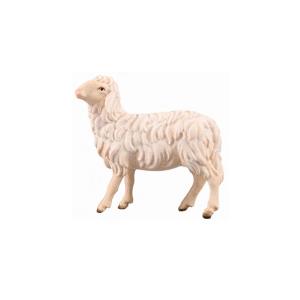 SI Sheep looking left