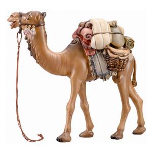 IN Camel with luggage