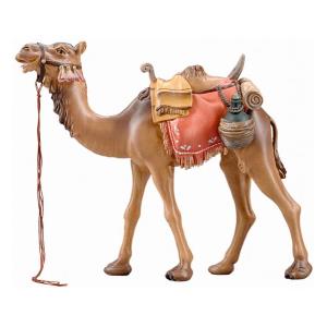 SI Camel