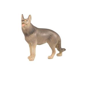 LI Sheepdog from 01_10_2024