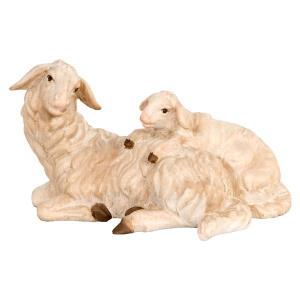 Sheep laying w. lamb