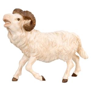 Ram