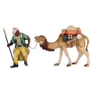 Camel with Driver and Baggage