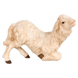 Kneeling Sheep