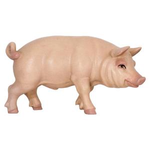 Pig