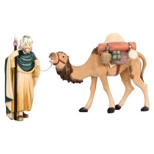 Cammello con cammelliere e bagaglio