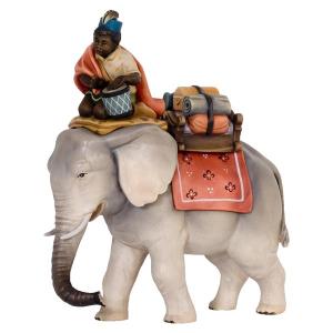 Elefante con conducente e bagaglio