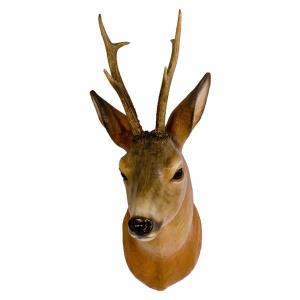 Roebuck head