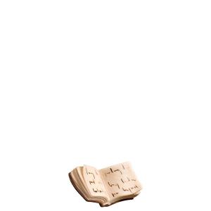 O-Sacra Scrittura (C)