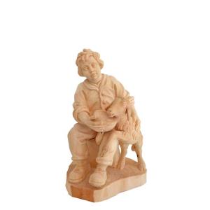 H-Pastorello c. agnello