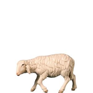 H-Walking sheep