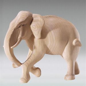 Elefante