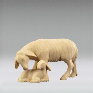 Standing sheep w/lamb