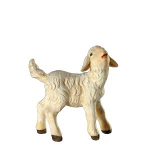 Lamb