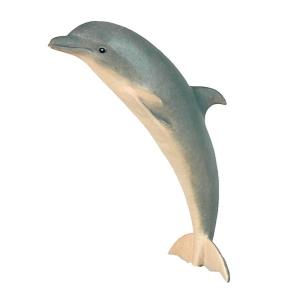 Delfino che salta(solo)