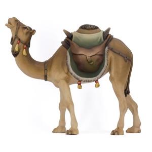 Standing Camel