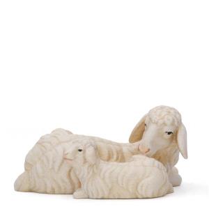 Lying sheep whit lamb