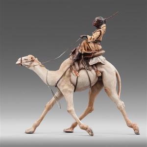 Bambino su dromedario Immanuel