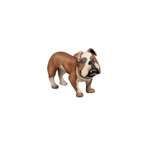 Bulldog (con piedistallo in plexiglas)