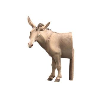 Asino(parte anteriore) per tempio 10003