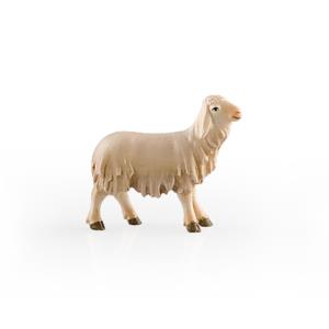 Agnello con capo verso l'alto