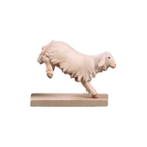 Agnello saltellante verso il basso