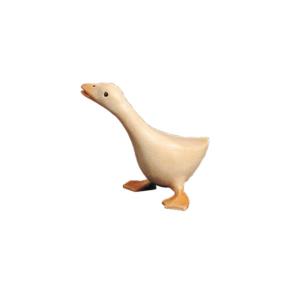 Goose looking to one side