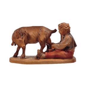 Bambino con capra (mungitore)