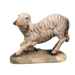 Pecora inginocchiata