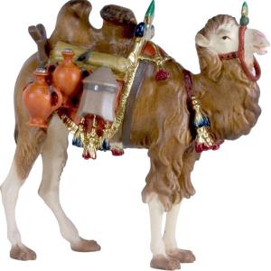 Camel with baggage