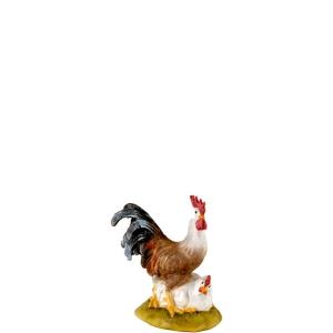 Gallo e Gallina sdraiata