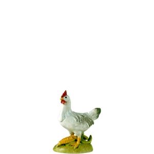 Hen standing