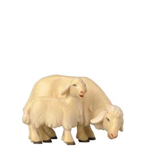 Sheep grazing with lamb