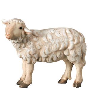 Pecora in piedi che guarda a sinistra