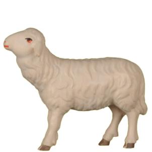 Pecora a sinistra di Pastore