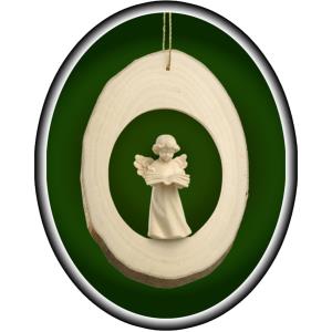 Branch disc with Mary Angel book