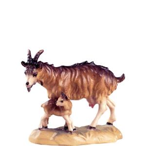 Nanny goat with kid B.K.