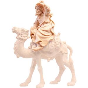 Cammelliere seduto T.K.